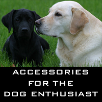 Accessories for the dog enthusiast
